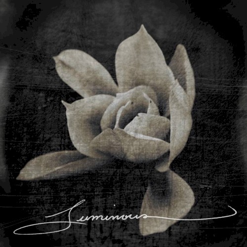 Luminous: Songs for Film and TV
