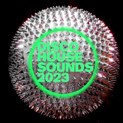 Disco House Sounds 2023