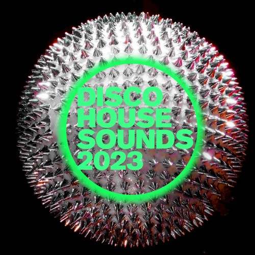 Disco House Sounds 2023