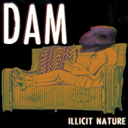 Dam