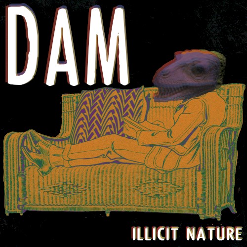 Dam