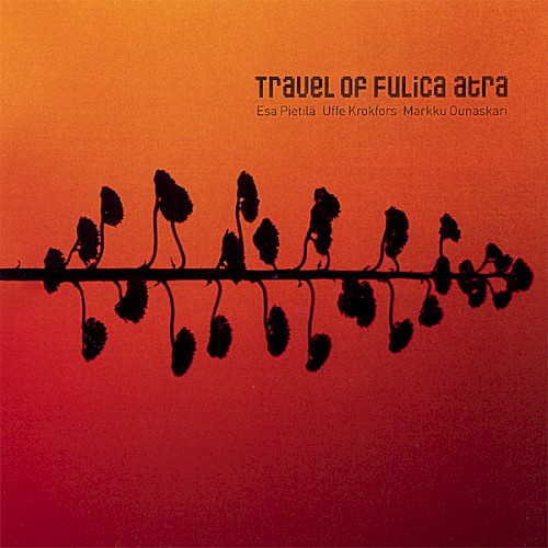 Travel of Fulica atra