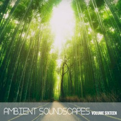 Ambient SoundScapes, Vol. 16