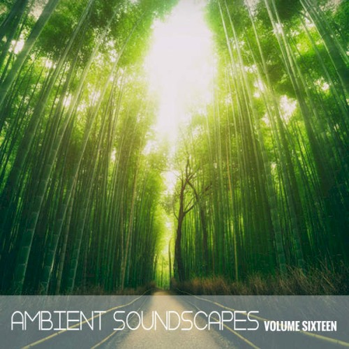 Ambient SoundScapes, Vol. 16