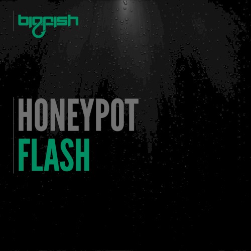 Flash
