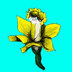 Daffodils