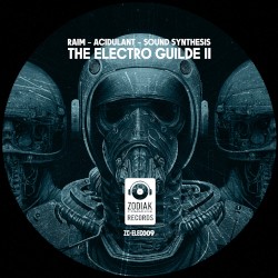 The Electro Guilde II