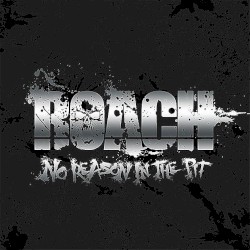 No Reason in the Pit