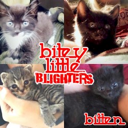 Bitey Little Blighters - Bitten