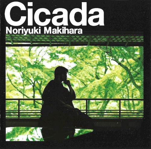 Cicada