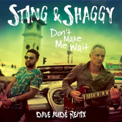 Don't Make Me Wait (Dave Audé remix)