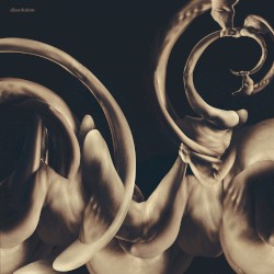 dissolution