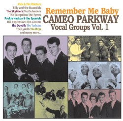 Remember Me Baby: Cameo Parkway Vocal Groups, Vol 1.