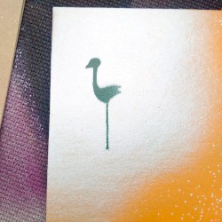 Lil Bird