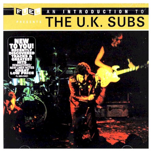 An Introduction to the U.K. Subs