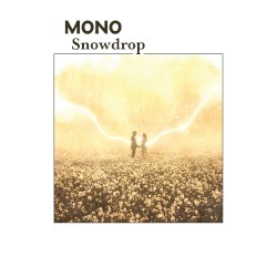 Snowdrop