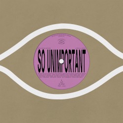 So Unimportant