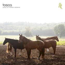 Pony: No Hassle Versions
