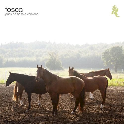 Pony: No Hassle Versions