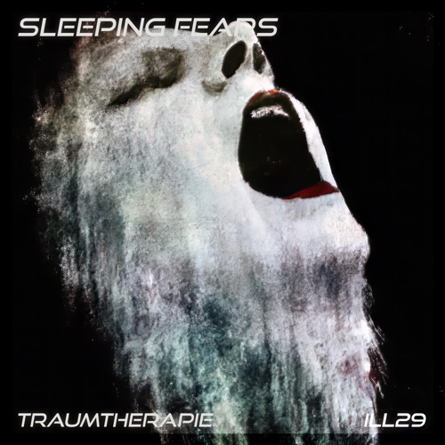 Sleeping Fears (original mix)