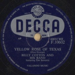 Yellow Rose of Texas / Domani