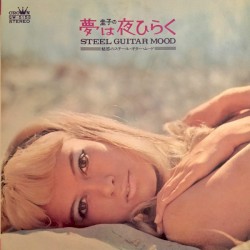 Steel Guitar Mood