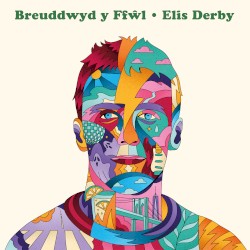 Breuddwyd y Ffŵl
