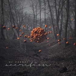 Accretion