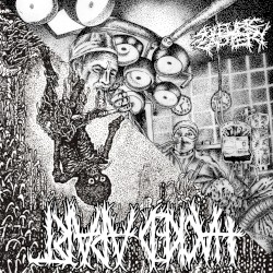 Sulfuric Cautery / Hacked Apart