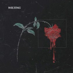 Wilting