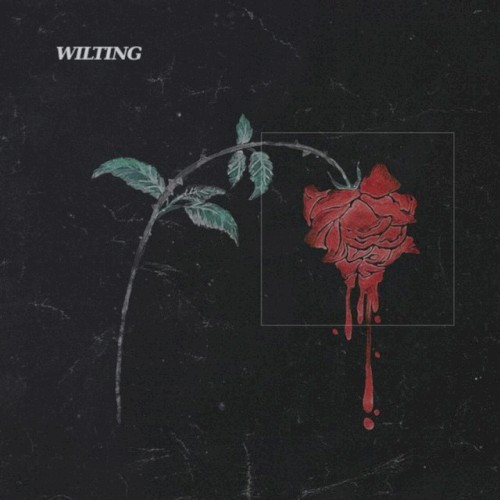 Wilting