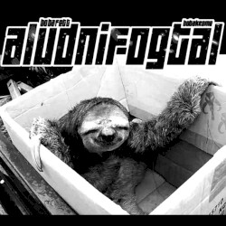 Aludnifogtál
