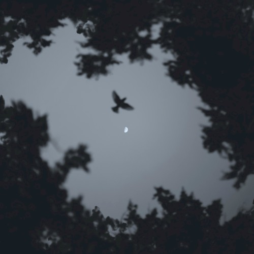 Descent