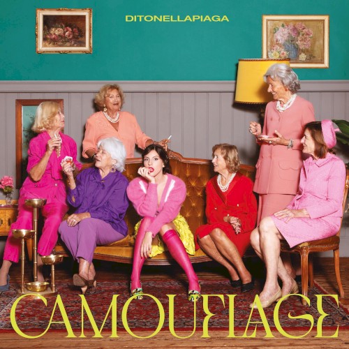 Camouflage