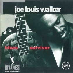 Blues Survivor