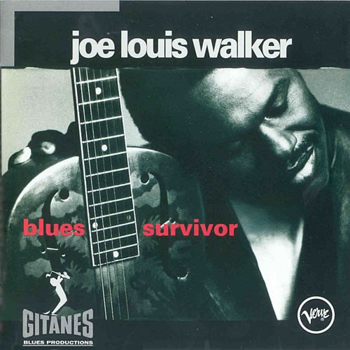 Blues Survivor