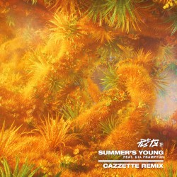 Summer's Young (Cazzette remix)