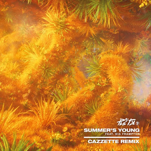Summer's Young (Cazzette remix)