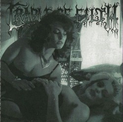 Sodomizing the Virgin Vamps