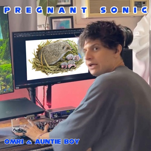 Pregnant Sonic