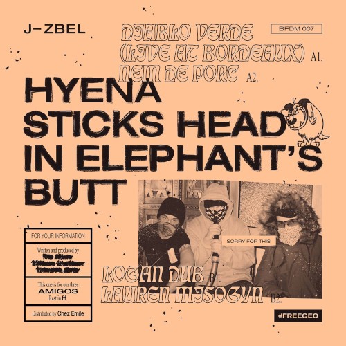 Hyena Sticks Head in Elephant's Butt