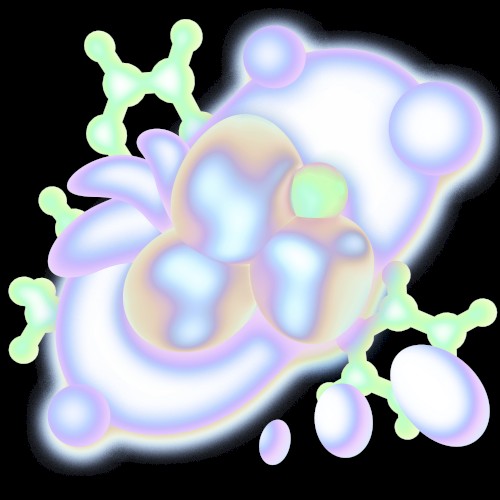 embryo