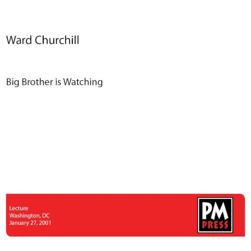 Big Brother Is Watching
