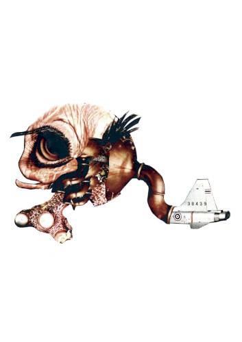 Panspermia Plus