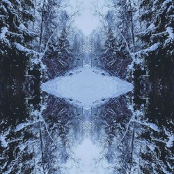 Rimfrost