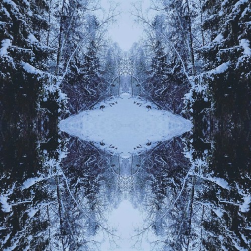 Rimfrost