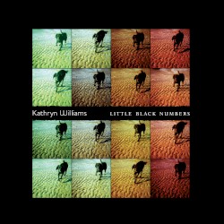 Little Black Numbers