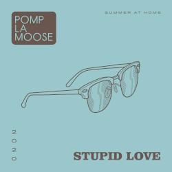 Stupid Love
