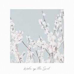 Wake up the Soul