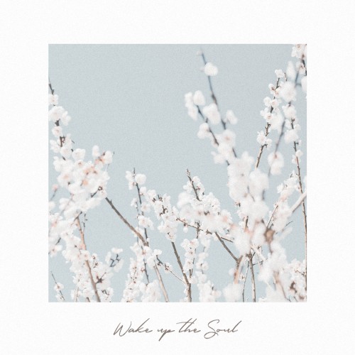 Wake up the Soul
